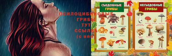 MESCALINE Вяземский